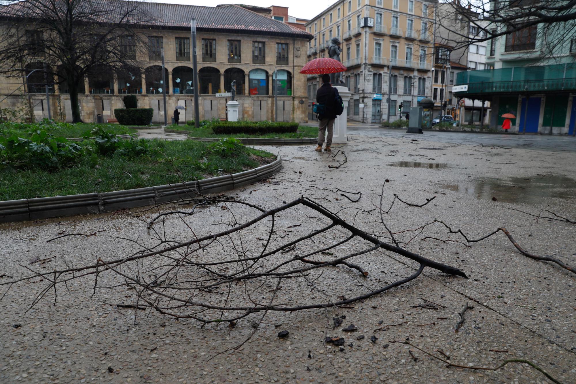 EN IMÁGENES: Así está siendo el temporal del lluvia, viento, oleaje y nieve que azota Asturias