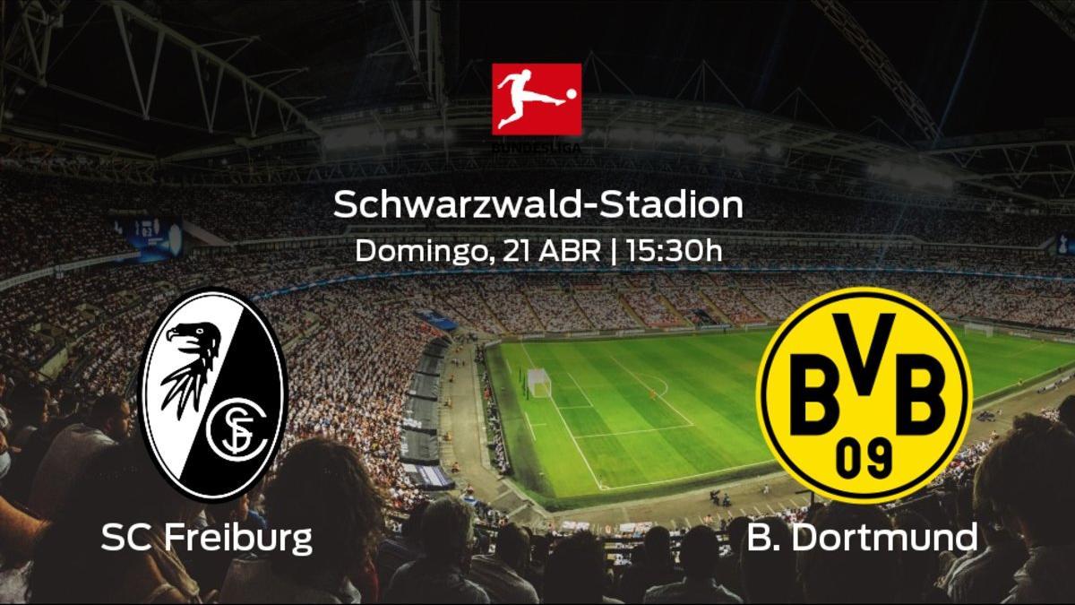 Previa del partido de la jornada 30: SC Freiburg contra Borussia Dortmund