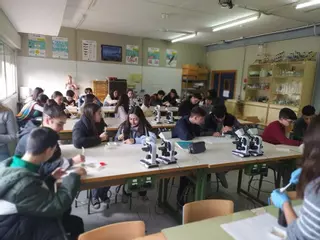 La UCO mantiene su posición de excelencia académica en el prestigioso ranking QS World University