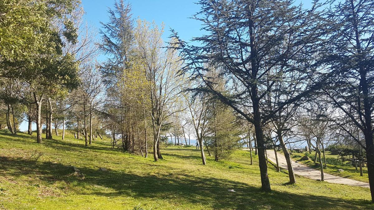 Un paseo por los montes Alba y Cepudo, dos de los mejores miradores de Vigo. / Alberto Blanco