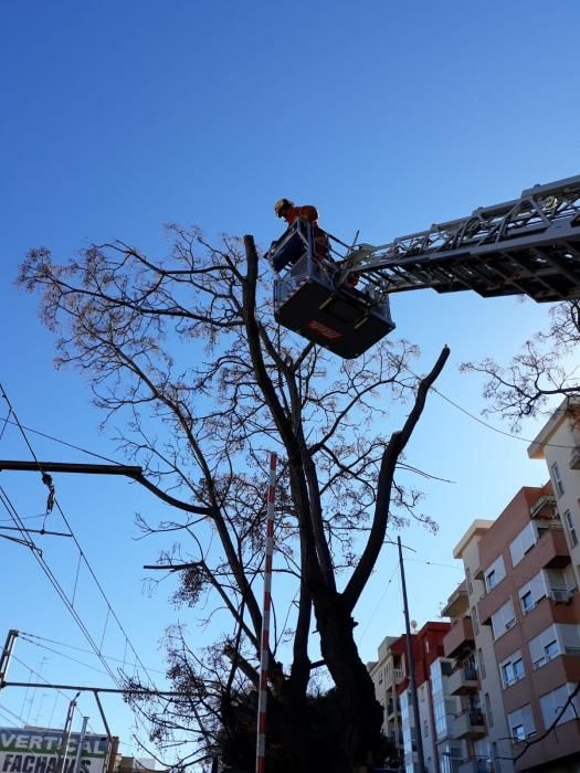 El viento causa desperfectos en Valencia