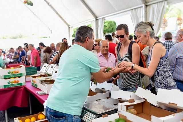 II Feria del Aguacate en Arguineguín