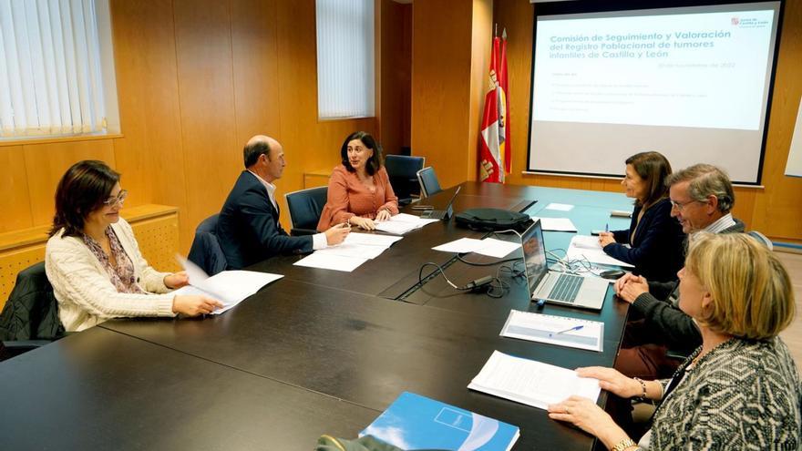 Reunión de la comisión de seguimiento del estudio. |