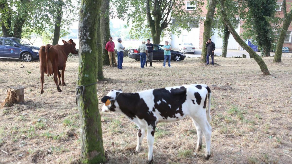 Rafael Méndez departe con otros ganaderos durante la feria del pasado día 12. |   // BERNABÉ/ANA AGRA