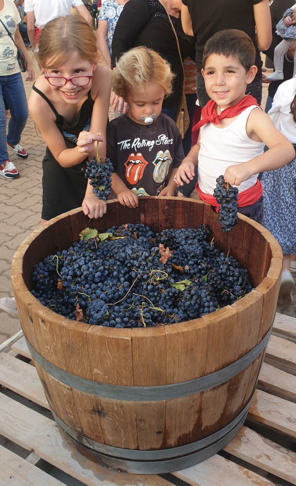 La Fiesta de la Vendimia en Venialbo