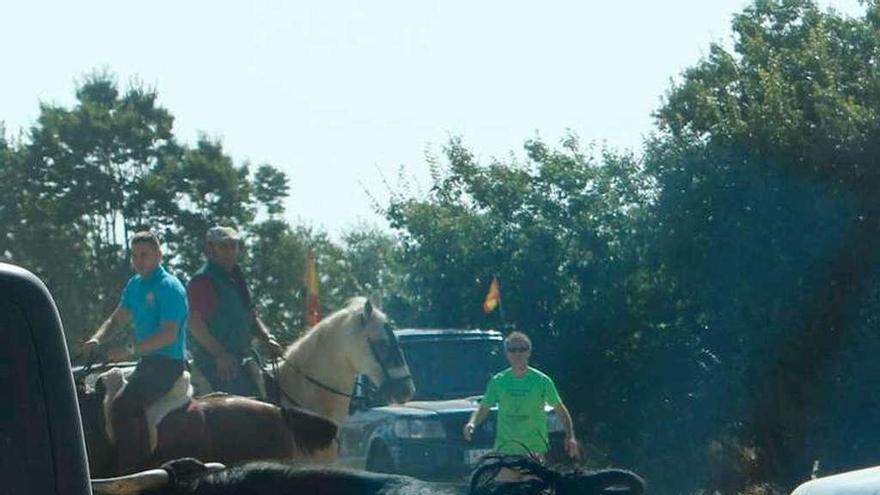Uno de los toros utilizados en los encierros de San Roque de 2016.