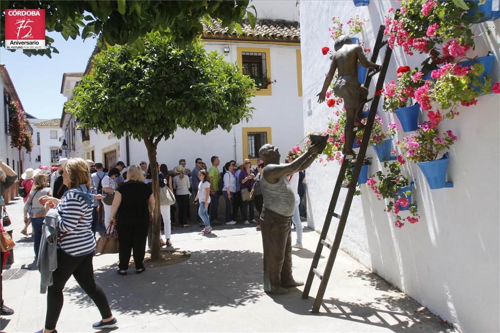 Fotogalería / Arranca la fiesta de los patios