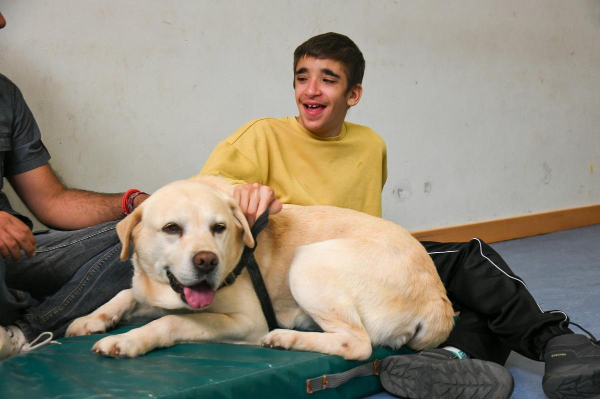Terapia con perros en el colegio Virgen del Castillo de Zamora