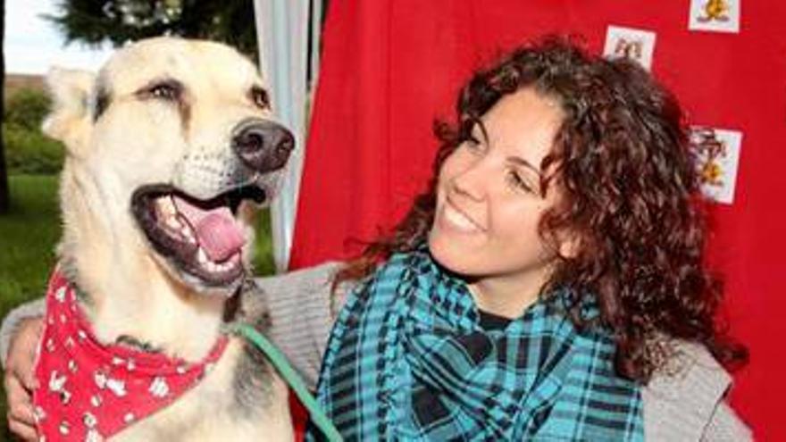 El fiscal pide 10 meses para el acusado de torturar a dos cachorros en Badajoz