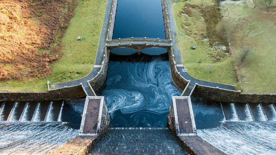 Centrales hidroeléctricas, ¿trampas mortales para salmones?