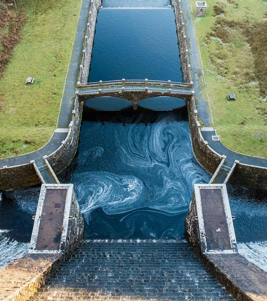 Centrales hidroeléctricas, ¿trampas mortales para salmones?
