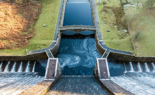 Las centrales hidroeléctricas pueden ser trampas mortales para los salmones