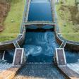 Las centrales hidroeléctricas pueden ser trampas mortales para los salmones