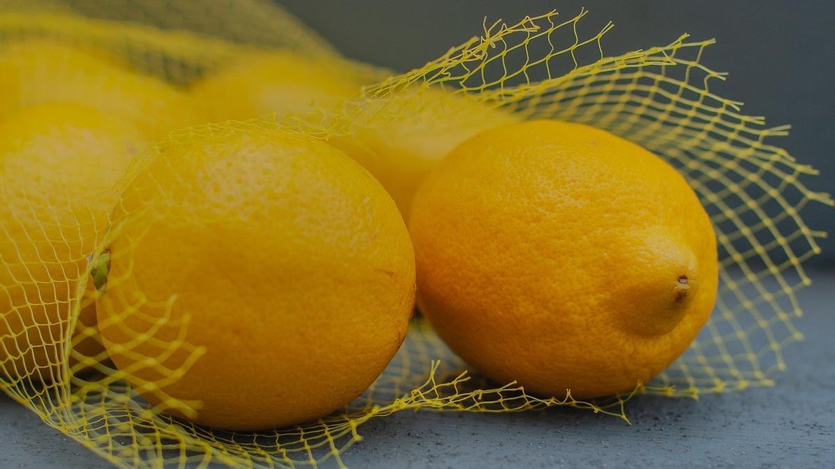 La dieta del limón te ayudarña a perder peso rápidamente.