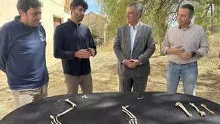 Hallan en Abanilla el esqueleto de lince más completo y antiguo del mundo