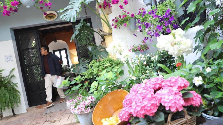 Los patios de la Judería de Córdoba, en imágenes