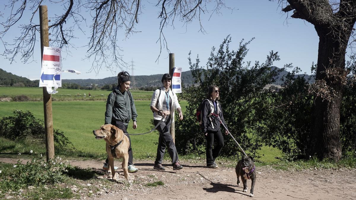 Transéquia 2026: busca't a les fotos