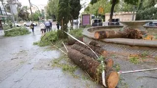 Alejarse de muros y cornisas y otros consejos del 112 ante fuertes rachas de viento