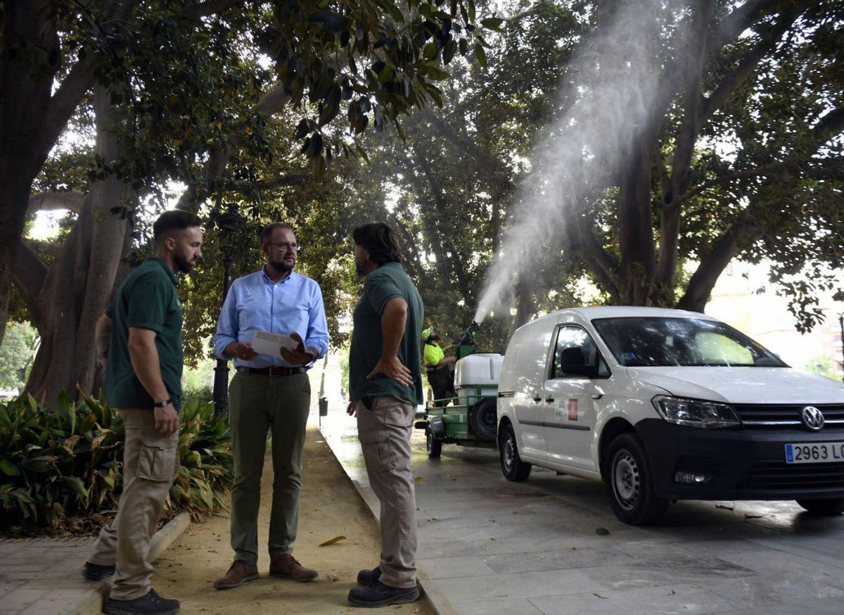 El concejal José Guillén, junto a dos técnicos en el murciano Jardín de Floridablanca. | ISRAEL SÁNCHEZ