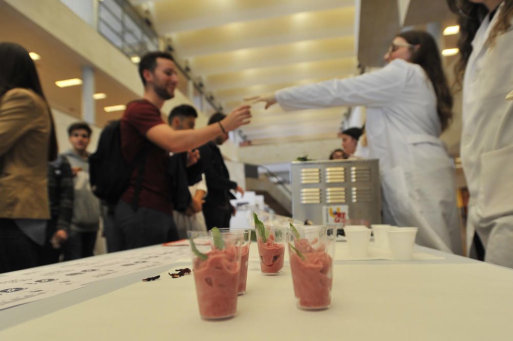 Concurso de alimentos en la UMH