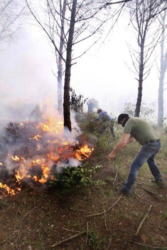 Incendi forestal a peu de les Gavarres