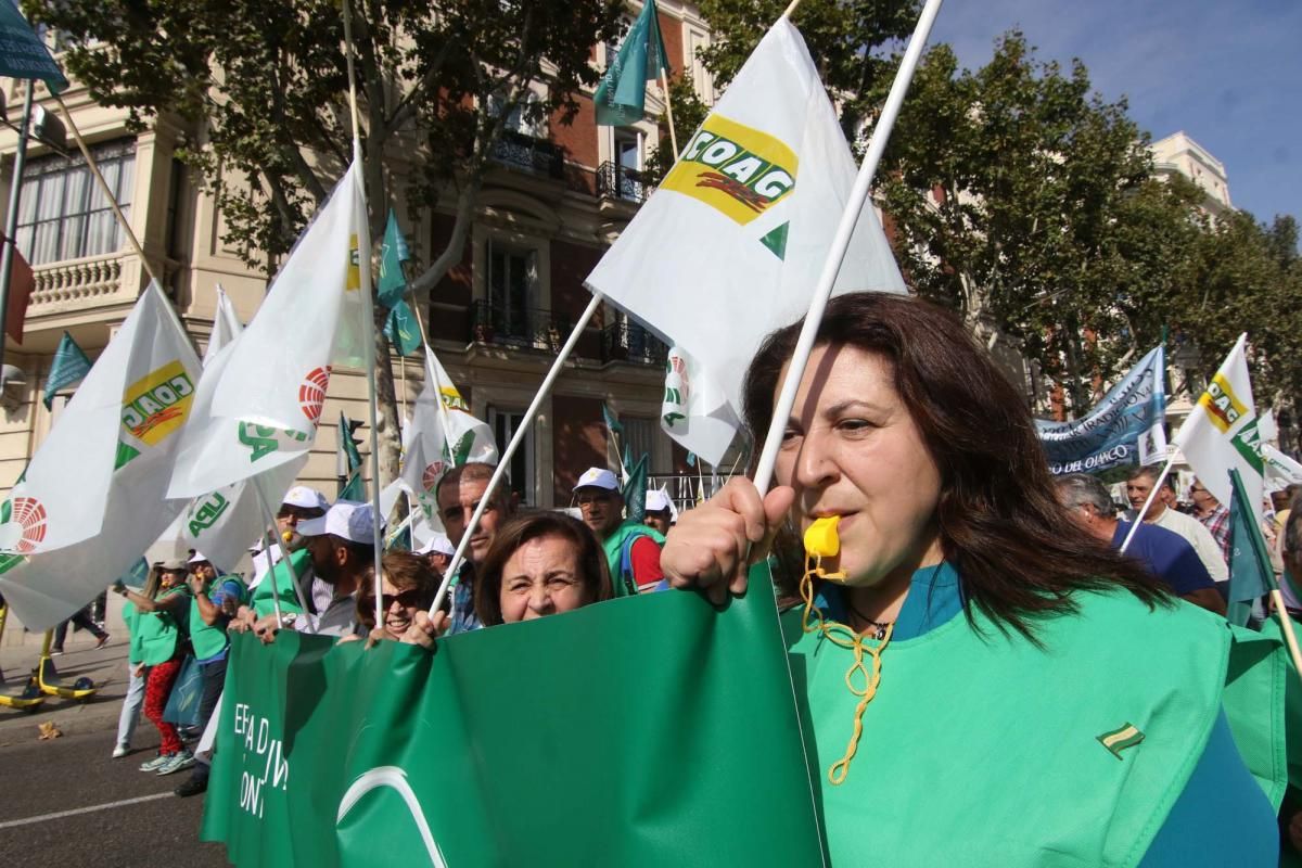 Córdoba se suma a la gran manifestación del olivar en Madrid