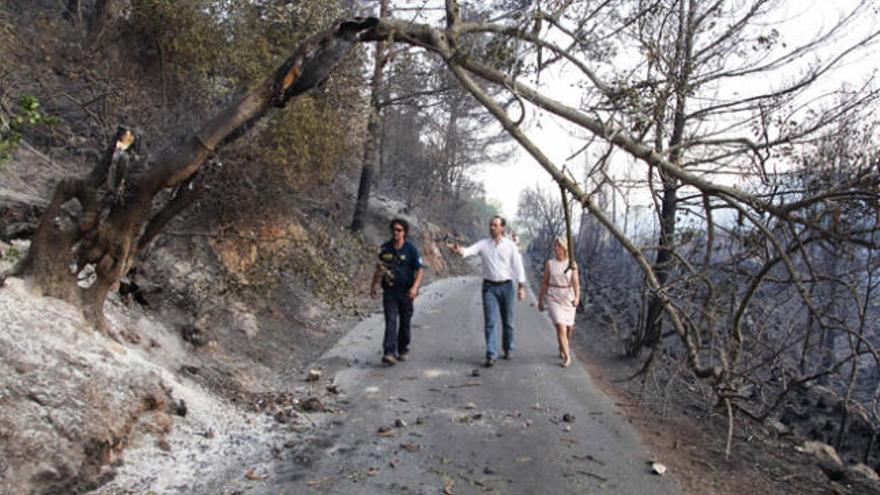 Bauzá expresa "impotencia" ante incendio