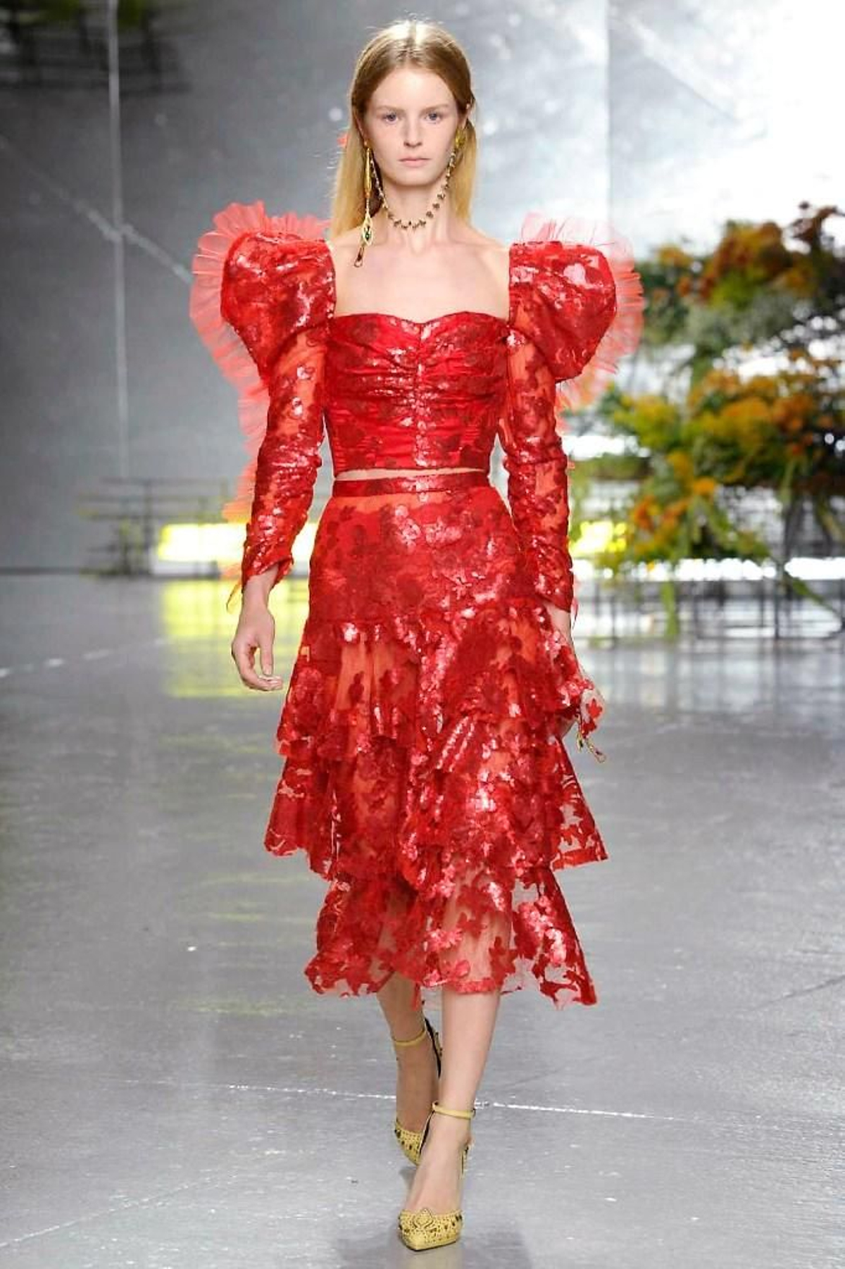 Rodarte