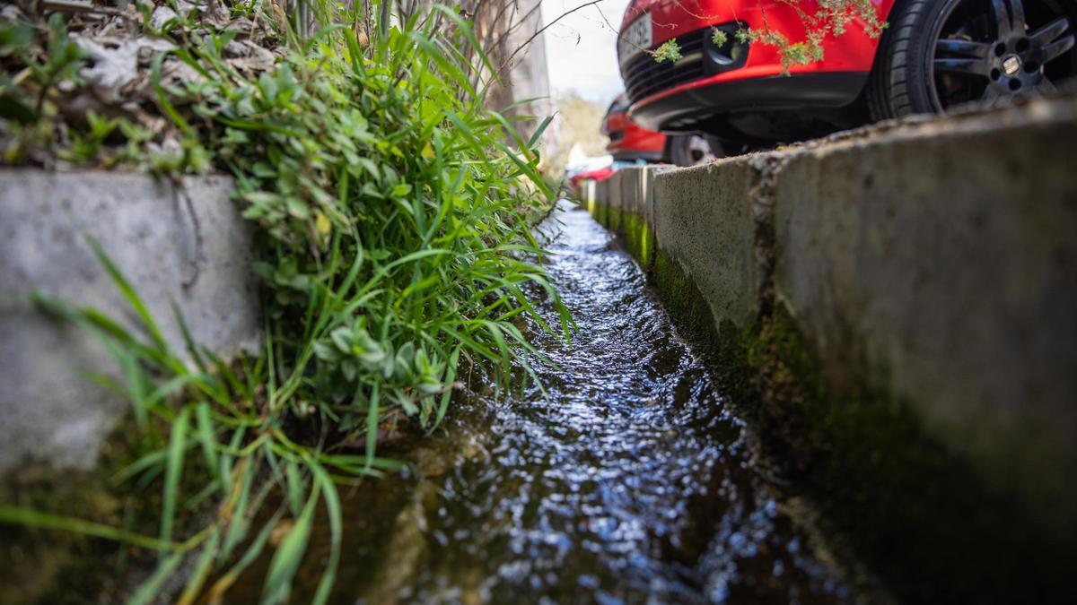 180.000 litros al día. La eterna fuga de la riera de Canyet, en Badalona, indigna a los vecinos en pleno episodio de sequía.