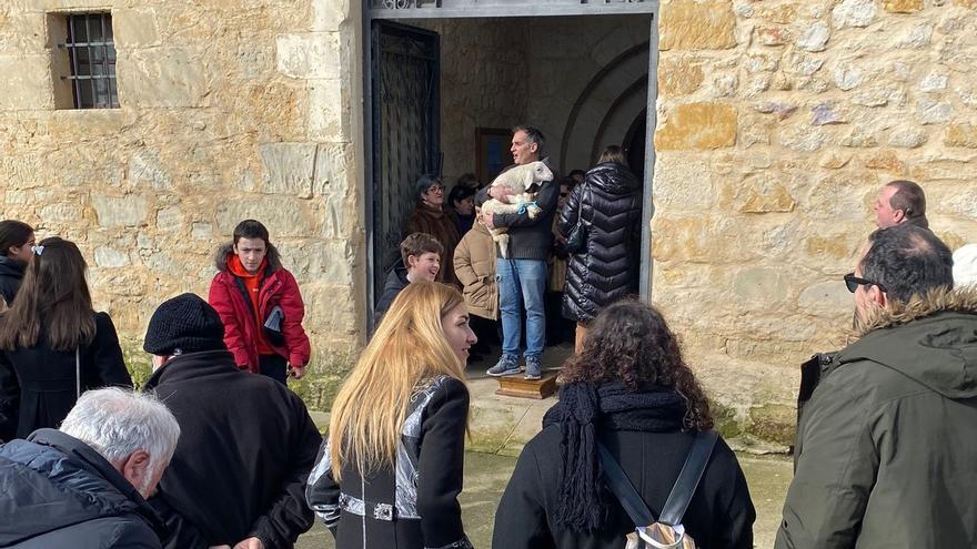 Benegiles se vuelca con la subasta de San Antón