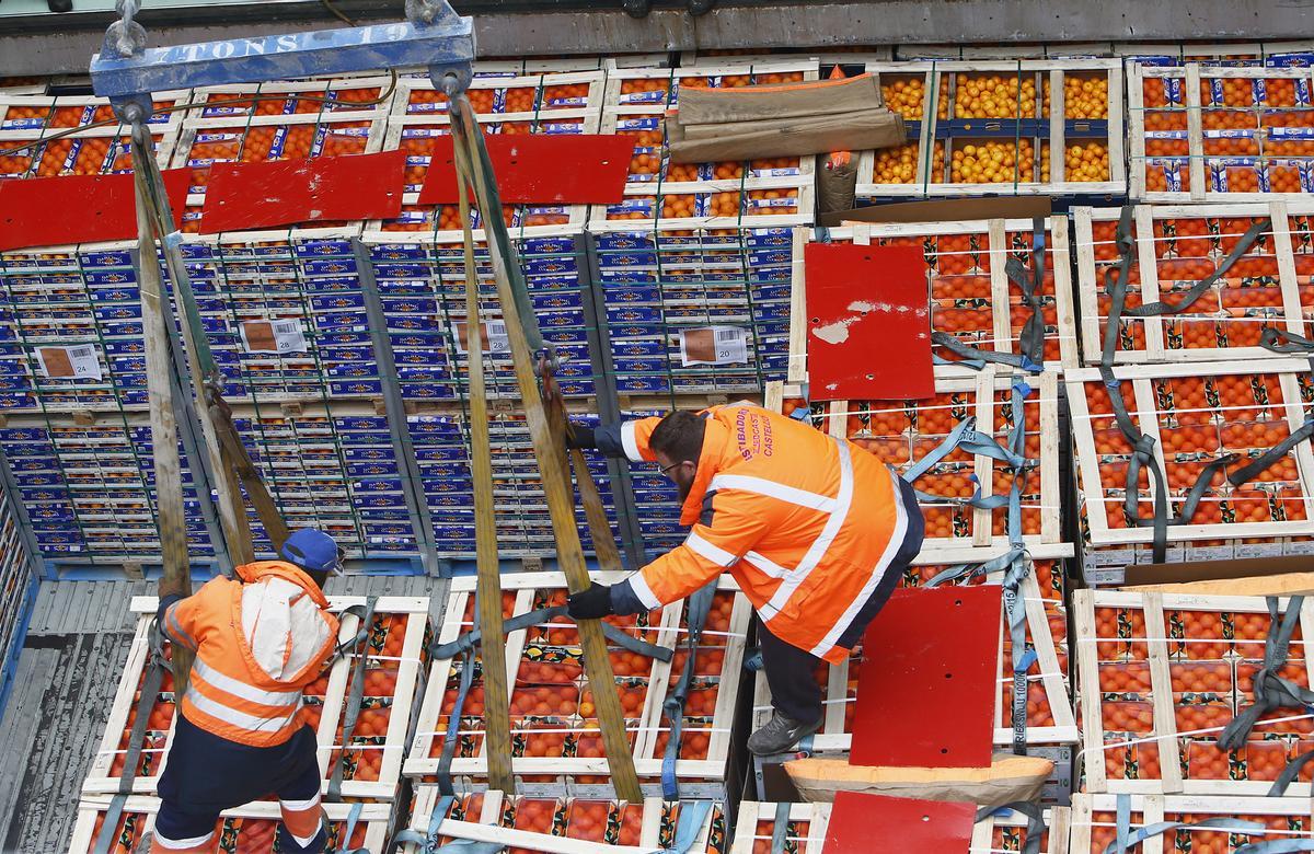 Carga de naranjas y mandarinas en el puerto de Castellón.