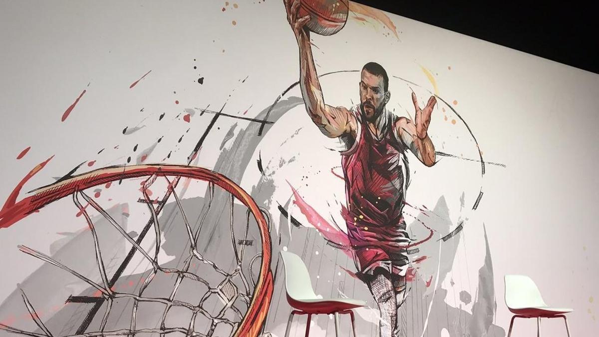 El mural de Marc Gasol en el pabellón de Fontajau