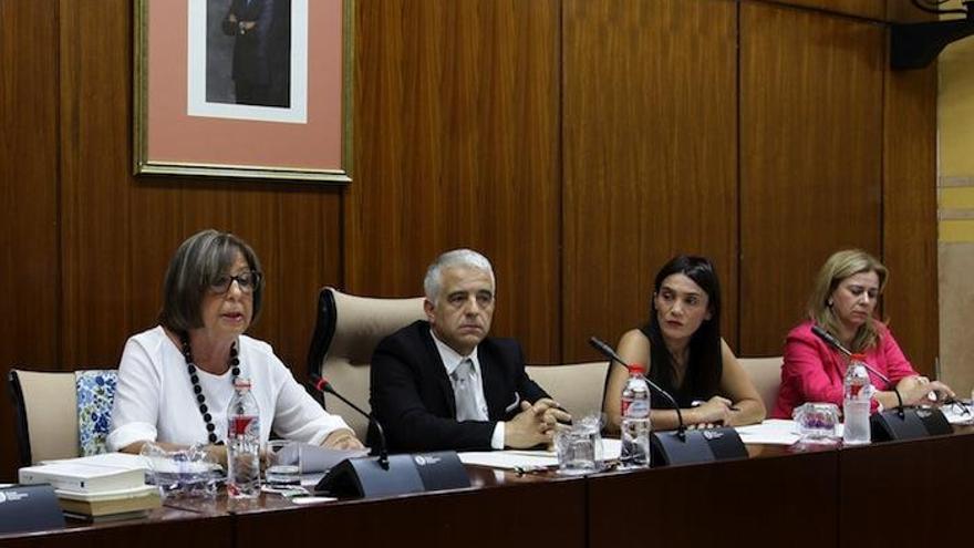 Adelaida de la Calle anunció ayer las líneas maestras de su gestión al frente de la Consejería de Educación.