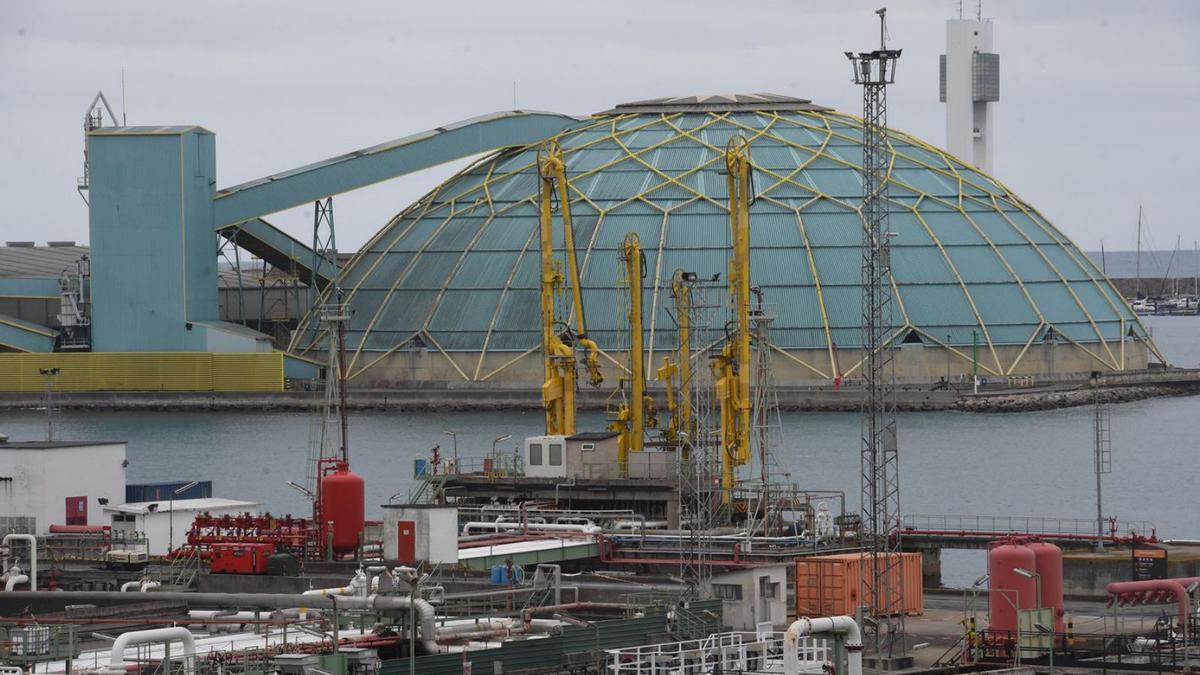 La Medusa en el muelle Centenario.   | // CARLOS PARDELLAS