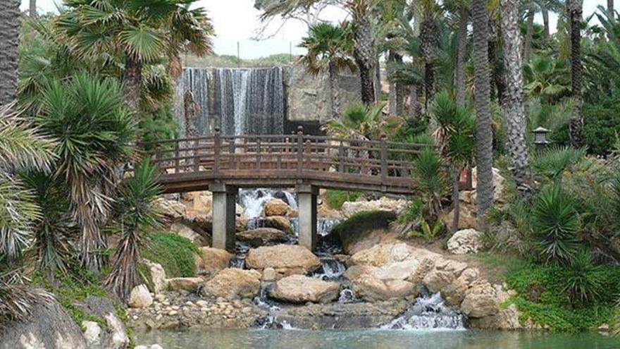 Aguas de Alicante: cuidamos la Naturaleza, cuidamos de ti