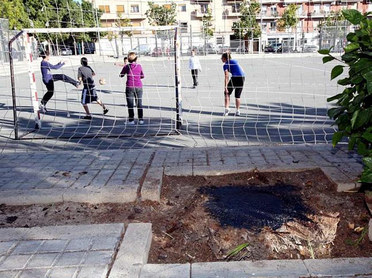 La palmera enferma de picudo junto al polideportivo del Pla ha sido arrancada y el tronco ha sido sellado