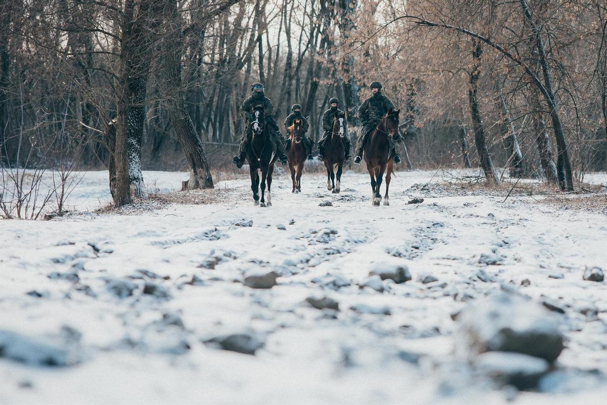 Patrulla a caballo en la frontera entre Polonia y Bielorrusia en Wlodawa