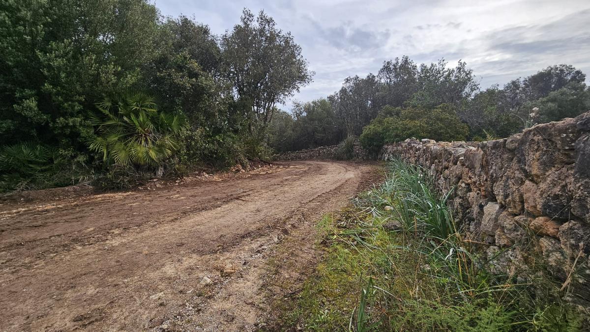 El camino aparece aplanado por la acción de la maquinaria pesada.