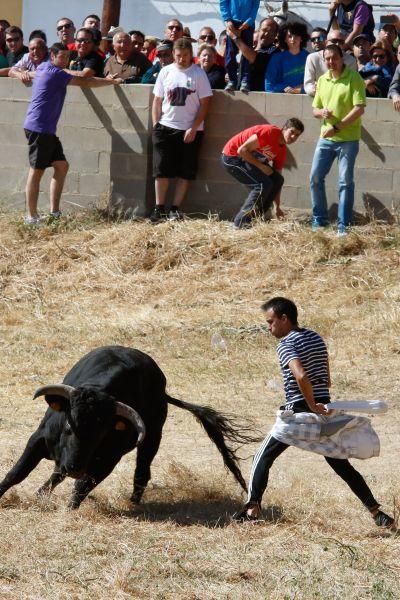 Encierro Guarrate