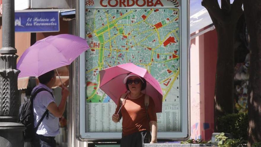 Profesionales sanitarios refuerzan las estrategias frente a las altas temperaturas