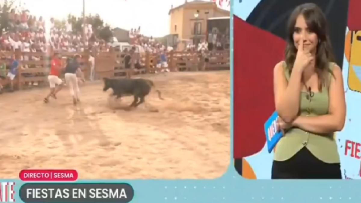 Un reportero de ETB2, embestido por una vaquilla durante una conexión en directo