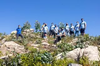 Los comuneros de Vigo ya ejecutan el anillo verde ante la “inacción” institucional: "Es urgente"