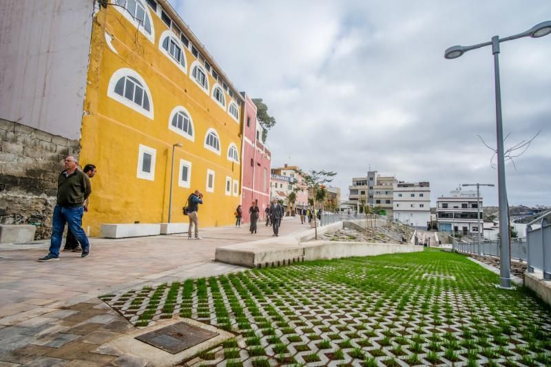 Las Palmas de Gran Canaria. Recorrido por el Corredor Verde de Tamaraceite  | 03/03/2020 | Fotógrafo: José Carlos Guerra