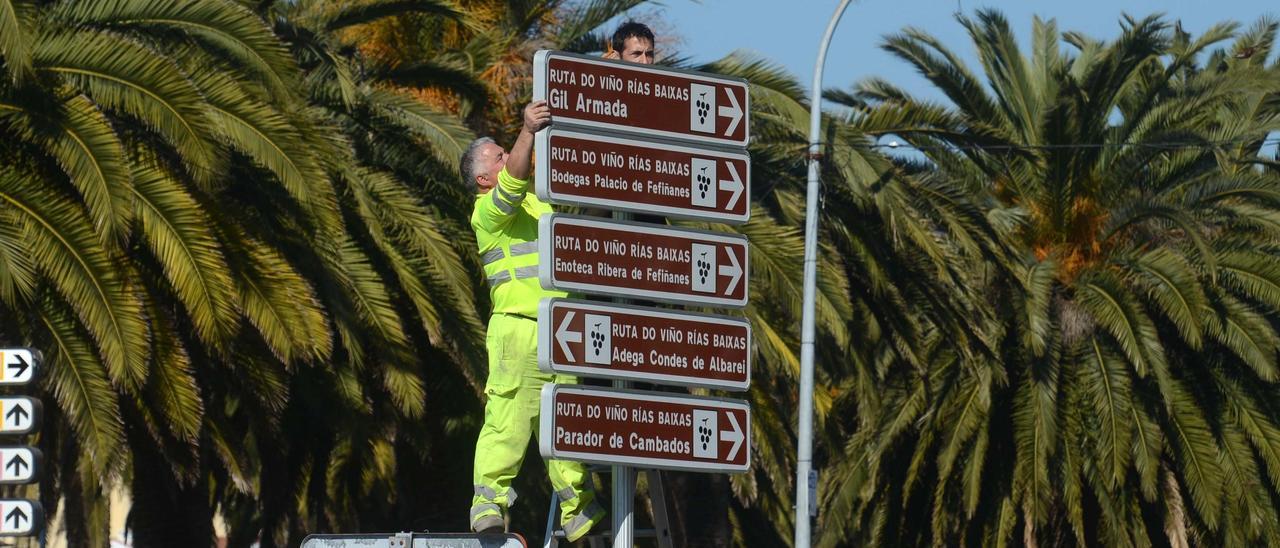 La Ruta do Viño vuelve a activarse.