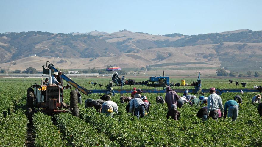 Agricultores y campesinos trabajando en el campo