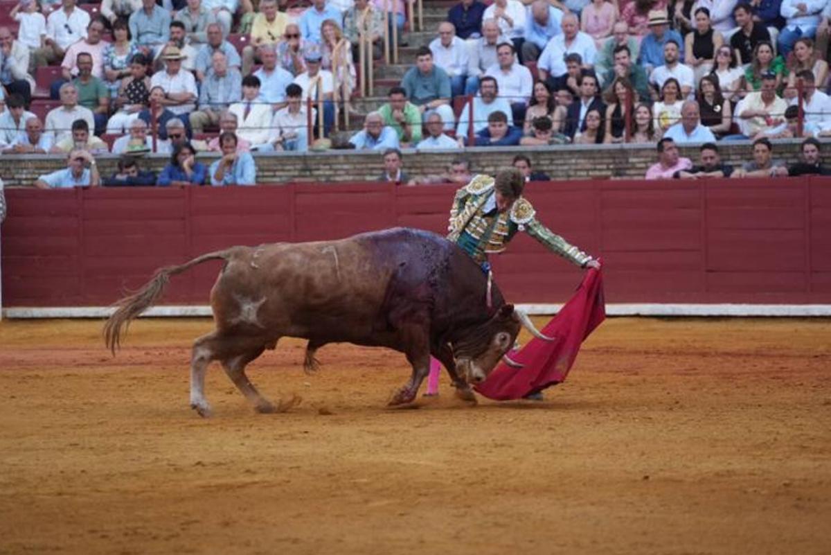 Tercer festejo taurino de la Feria de Córdoba, en imágenes