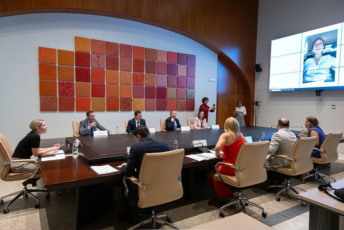 Reunión del Consejo de Gobierno celebrada en Mérida.