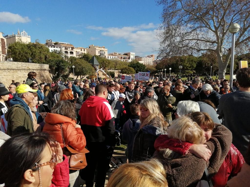 Manifestación contra la exigencia del certificado covid en Palma