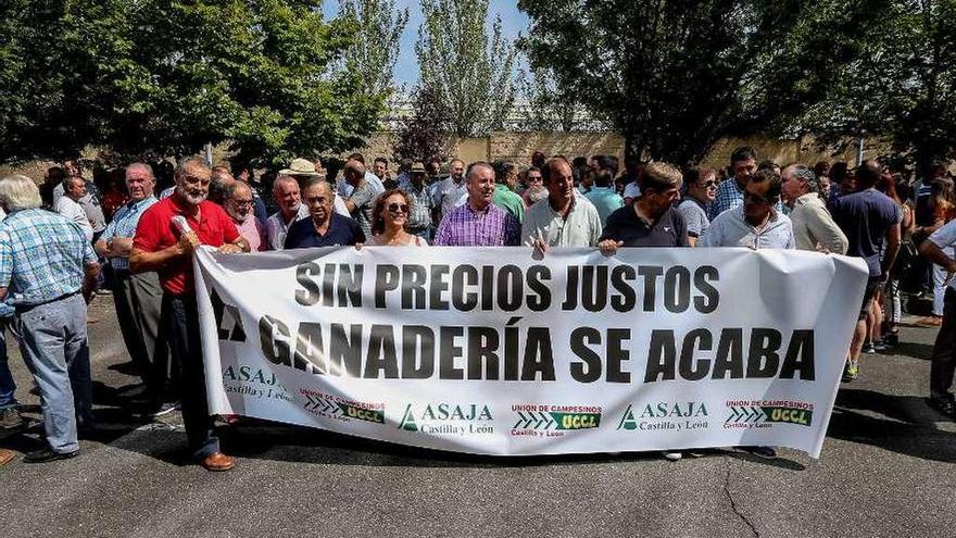 Asociados de Asaja y UCCL celebran una concentración en defensa del ovino de leche en Valladolid.