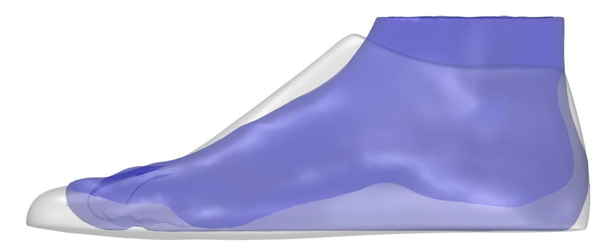 Alineacion horma pie